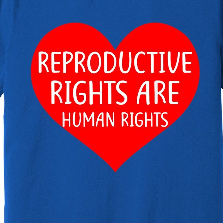 Reproductive Rights Are Human Rights Cool Gift Premium T-Shirt