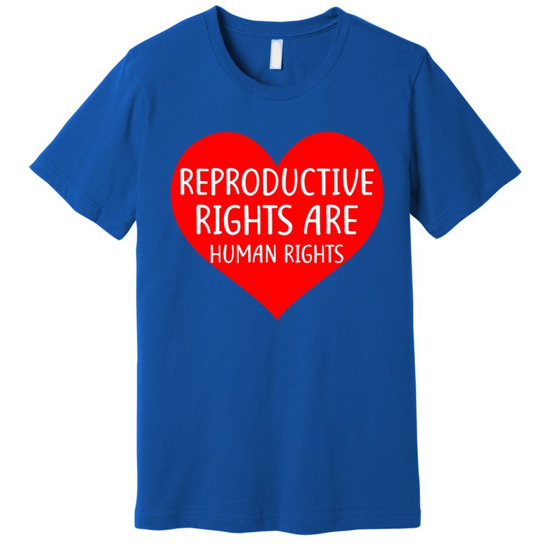 Reproductive Rights Are Human Rights Cool Gift Premium T-Shirt