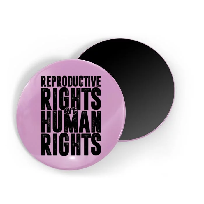 Reproductive Rights Are Human Rights Pro Choice Magnet