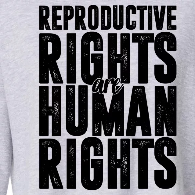 Reproductive Rights Are Human Rights Pro Choice Cropped Pullover Crew