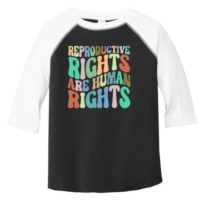 Reproductive Rights Are Human Rights Feminist Pro Choice Toddler Fine Jersey T-Shirt