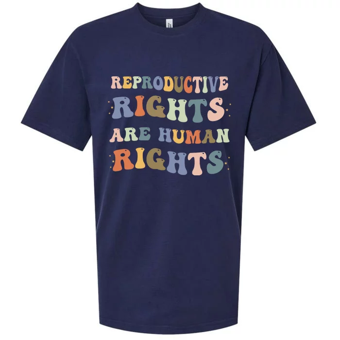 Reproductive Rights Are Human Rights Pro Choice Feminist Sueded Cloud Jersey T-Shirt