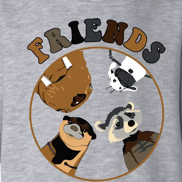 Rocket Raccoon And Friends Toddler Hoodie