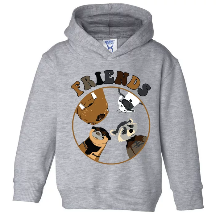 Rocket Raccoon And Friends Toddler Hoodie