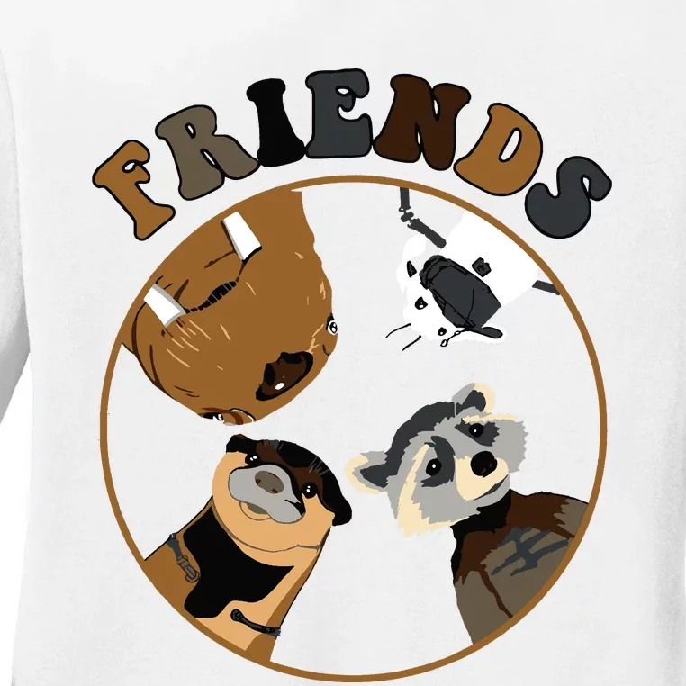 Rocket Raccoon And Friends Ladies Long Sleeve Shirt