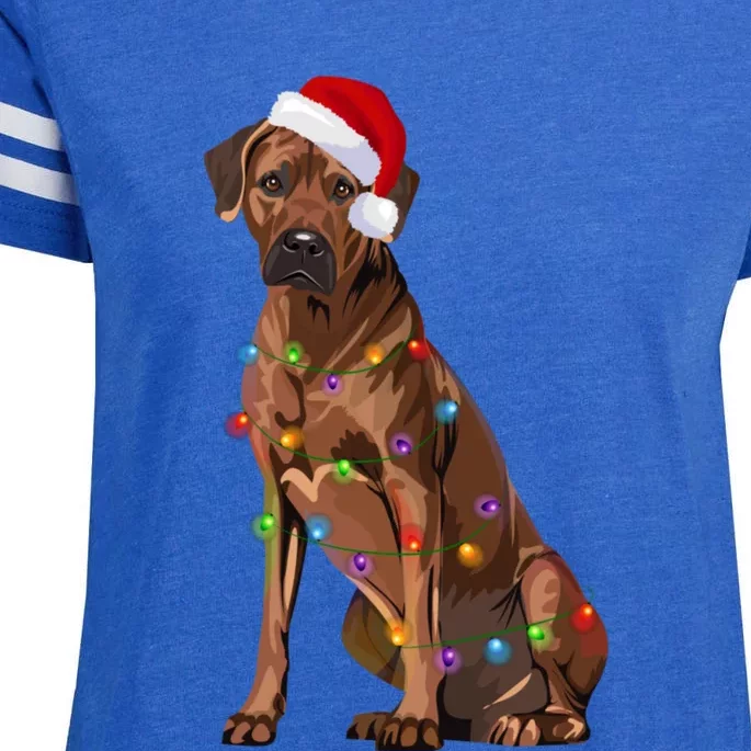 Rhodesian Ridgeback Christmas Lights Xmas Dog Lover Enza Ladies Jersey Football T-Shirt