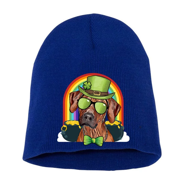 Rhodesian Ridgeback Dog Leprechaun Funny St Patricks Day Gift Short Acrylic Beanie