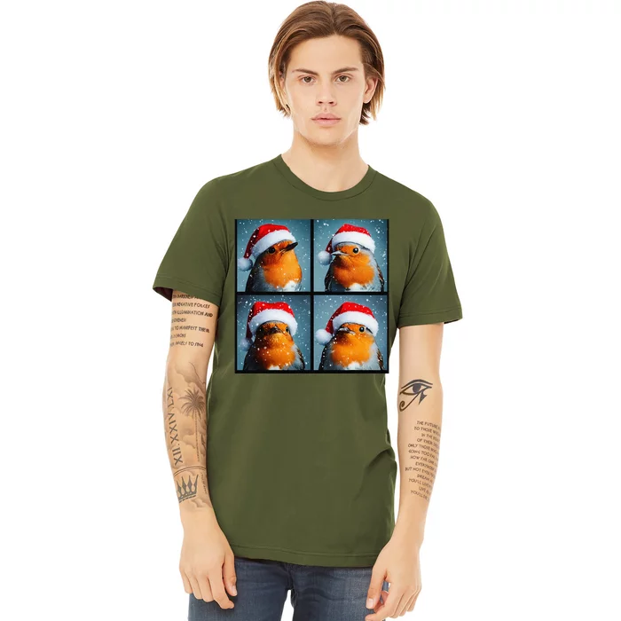 Robin Redbreast Portrait Winter Bird Christmas Premium T-Shirt