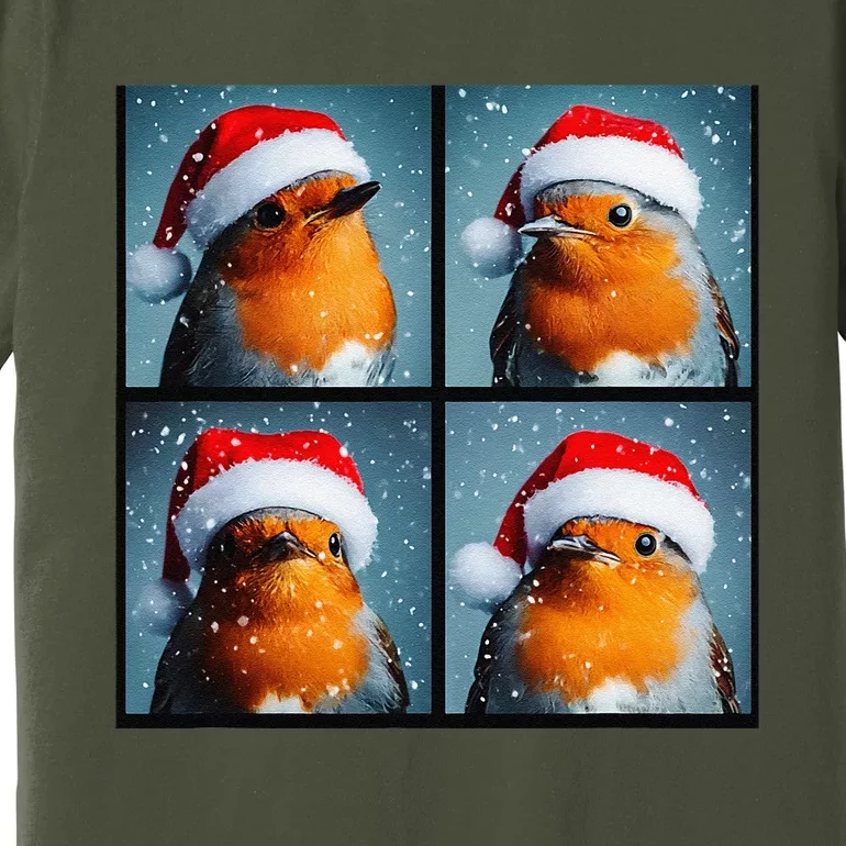 Robin Redbreast Portrait Winter Bird Christmas Premium T-Shirt