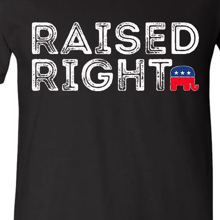 Raised Right Republican Conservative Vintage V-Neck T-Shirt