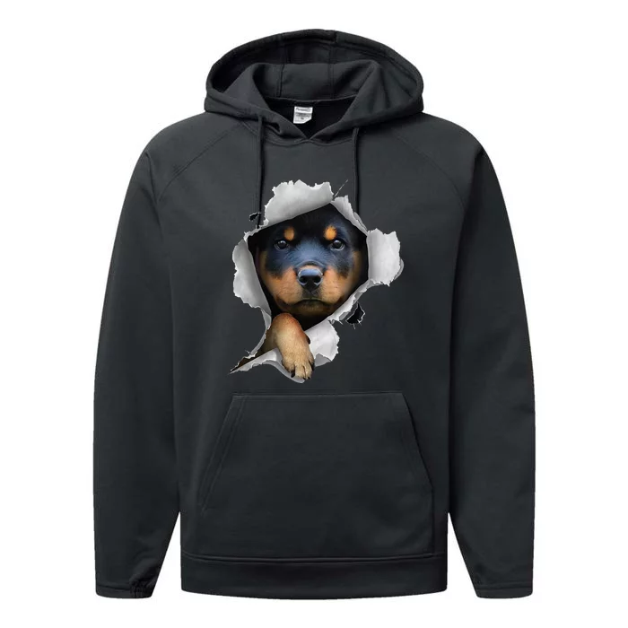 Rottweiler Rottie Rottweiler Lover Cute Rottweiler Performance Fleece Hoodie