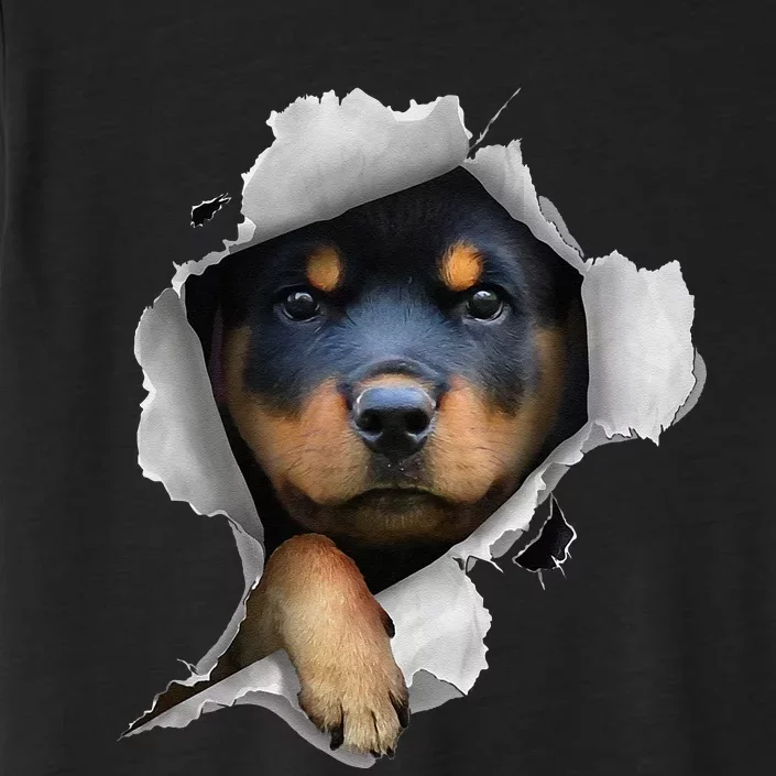 Rottweiler Rottie Rottweiler Lover Cute Rottweiler ChromaSoft Performance T-Shirt