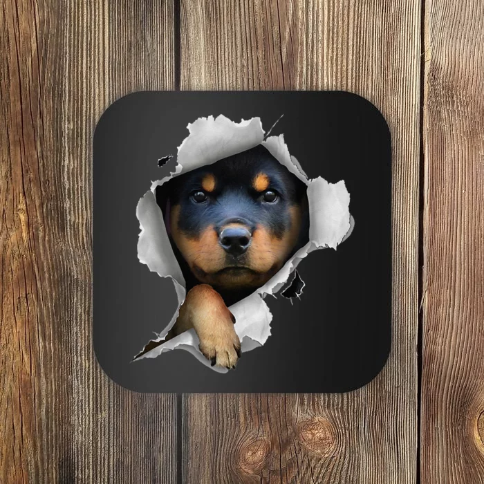 Rottweiler Rottie Rottweiler Lover Cute Rottweiler Coaster