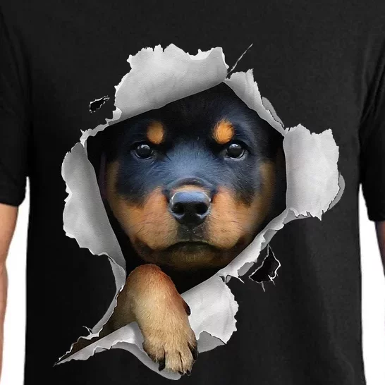 Rottweiler Rottie Rottweiler Lover Cute Rottweiler Pajama Set