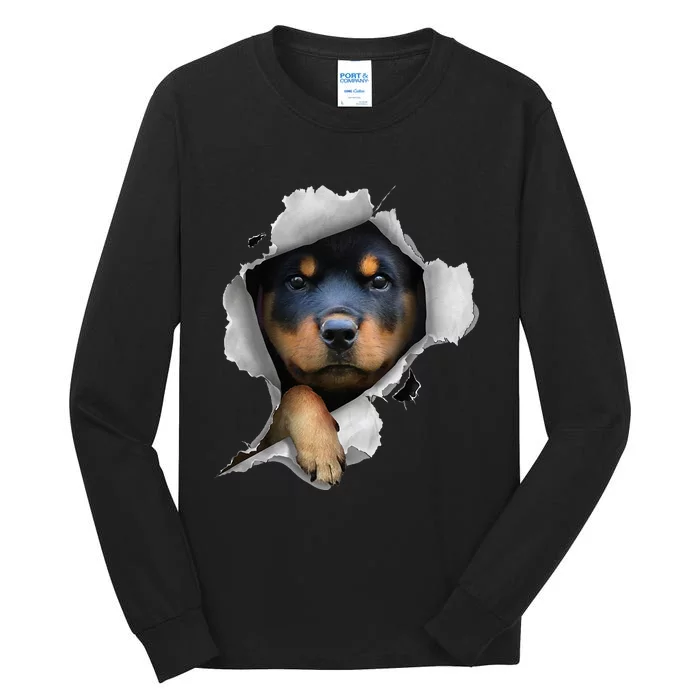 Rottweiler Rottie Rottweiler Lover Cute Rottweiler Tall Long Sleeve T-Shirt