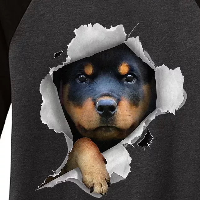 Rottweiler Rottie Rottweiler Lover Cute Rottweiler Women's Tri-Blend 3/4-Sleeve Raglan Shirt