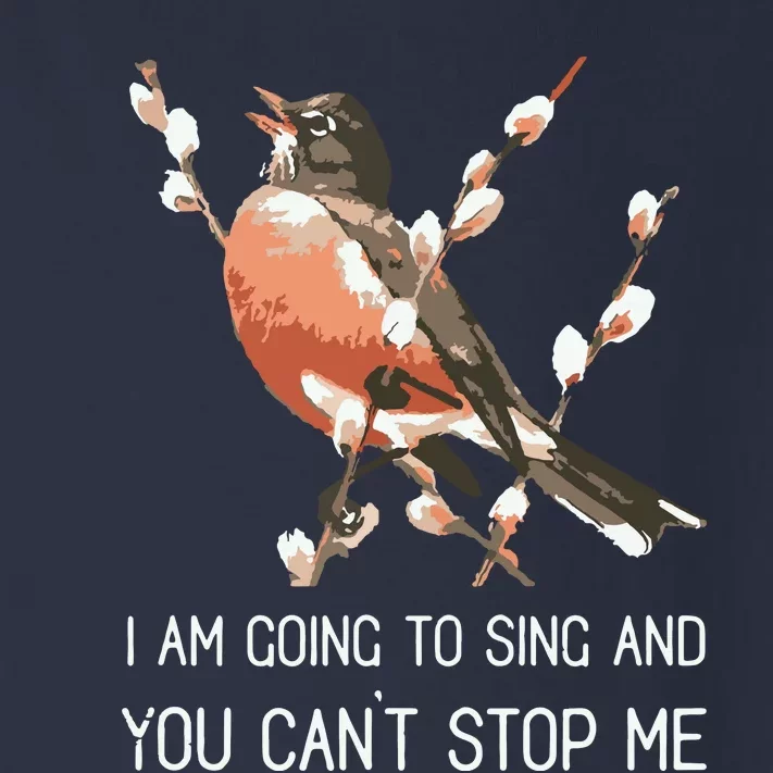 Red Robins Singing Warning Im Going To Sing Bird Lover Toddler Long Sleeve Shirt