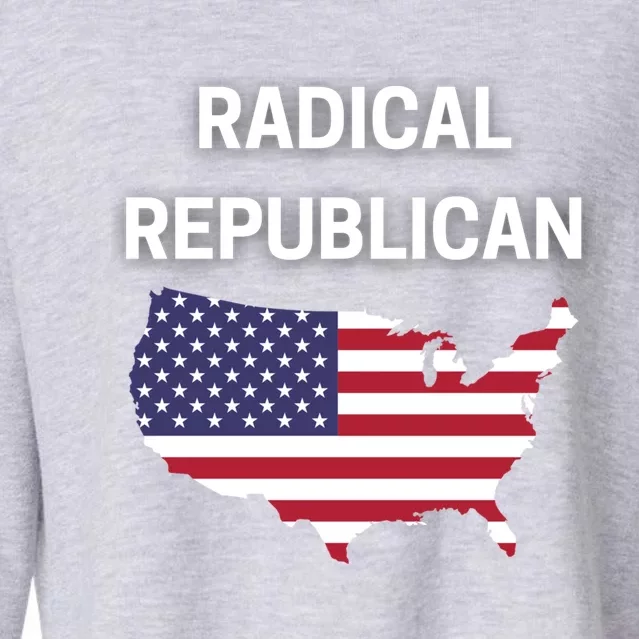 Radical Republican Usa Flag Patriotic Civil Rights Gift Cropped Pullover Crew