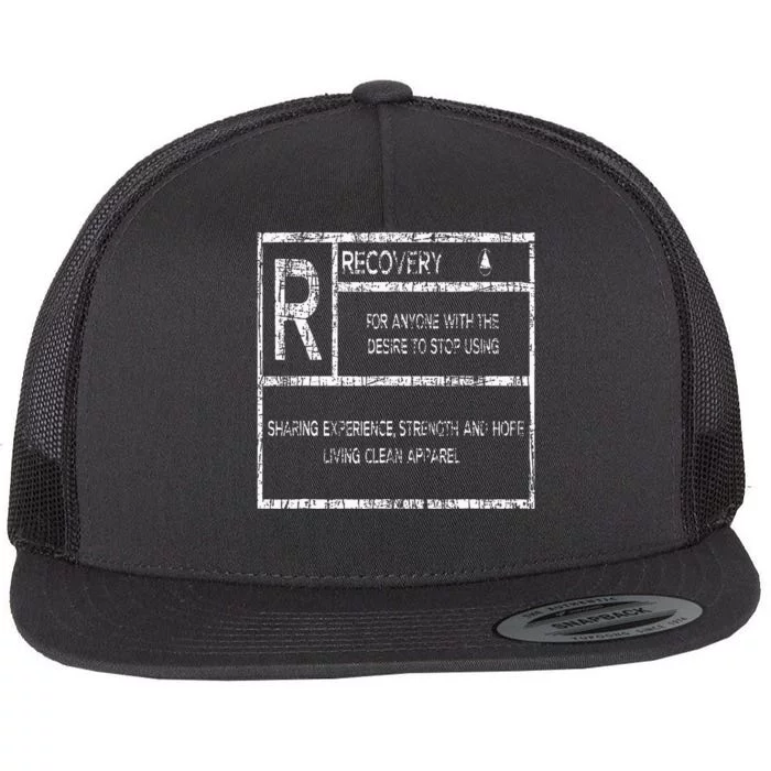 Recovery Sobriety Anniversary Sober Aa Na Flat Bill Trucker Hat