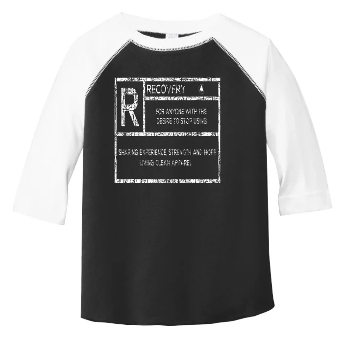 Recovery Sobriety Anniversary Sober Aa Na Toddler Fine Jersey T-Shirt