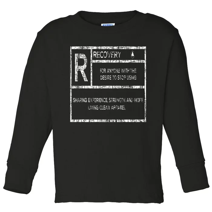 Recovery Sobriety Anniversary Sober Aa Na Toddler Long Sleeve Shirt