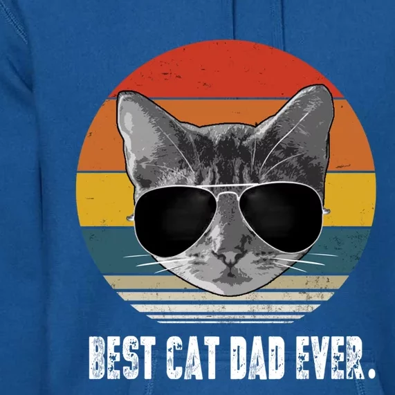 Retro Style Cagift Best Cat Dad Ever Funny Gift Premium Hoodie