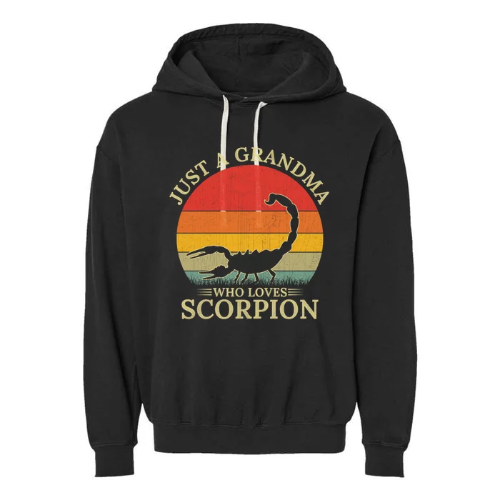 Retro Scorpion Design Just A Grandma Who Loves Scorpion Cute Gift Garment-Dyed Fleece Hoodie