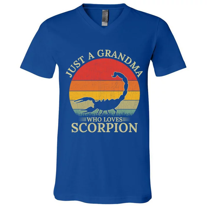 Retro Scorpion Design Just A Grandma Who Loves Scorpion Cute Gift V-Neck T-Shirt