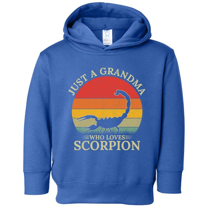 Retro Scorpion Design Just A Grandma Who Loves Scorpion Cute Gift Toddler Hoodie