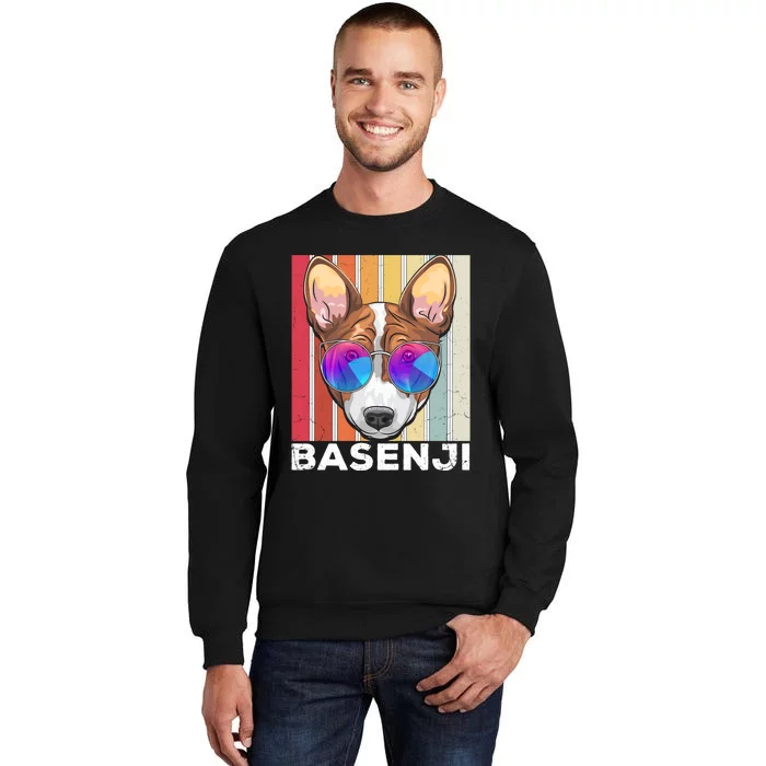 Retro Style Dog Lover Apparel Basenji With Sunglasses Gift Tall Sweatshirt