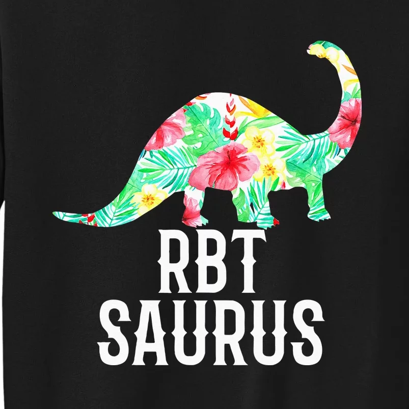 RBT Saurus Funny Dinosaur Registered Behavior Technician Sweatshirt