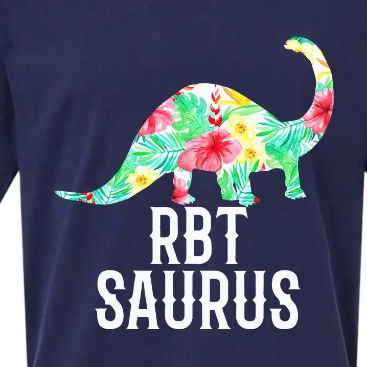 RBT Saurus Funny Dinosaur Registered Behavior Technician Sueded Cloud Jersey T-Shirt