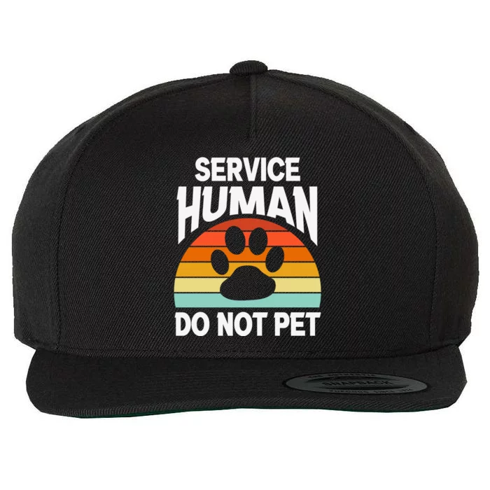 Retro Sunset Service Human Do Not Pet Emotional Support Human Dog Lover Wool Snapback Cap