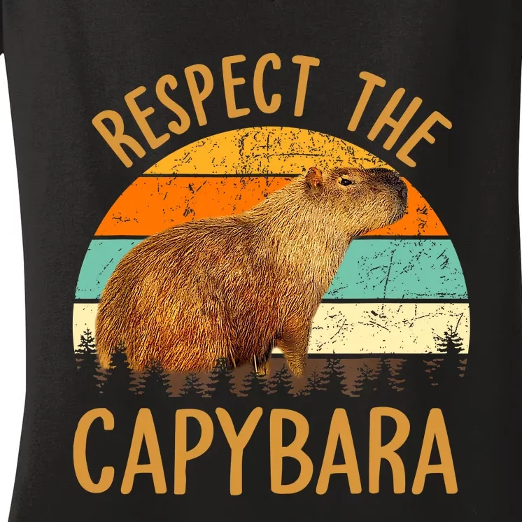 Respect The Capybara Animal Funny Capybara Lover Women's V-Neck T-Shirt