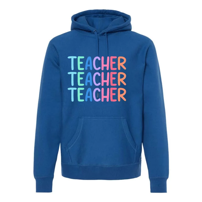 Retro Teacher Daisy Colorful Elementary School Teacher Premium Hoodie