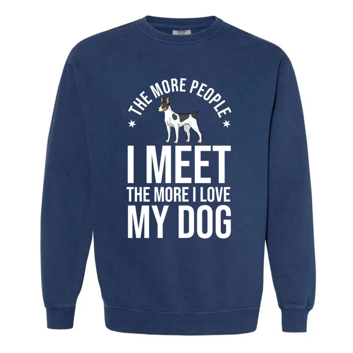 Rat Terrier Dog Puppies Owner Lover Sweatshirt Garment-Dyed Sweatshirt