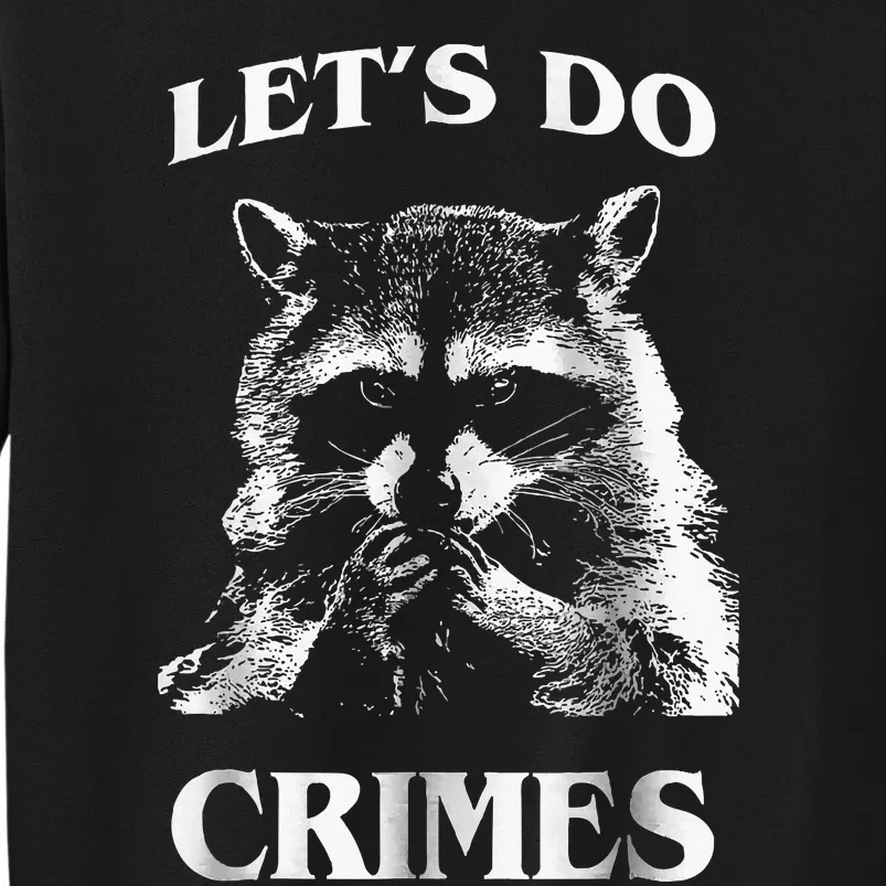 Raccoon Trash Funny Racoon LetS Do Crimes Cute Animal Sweatshirt