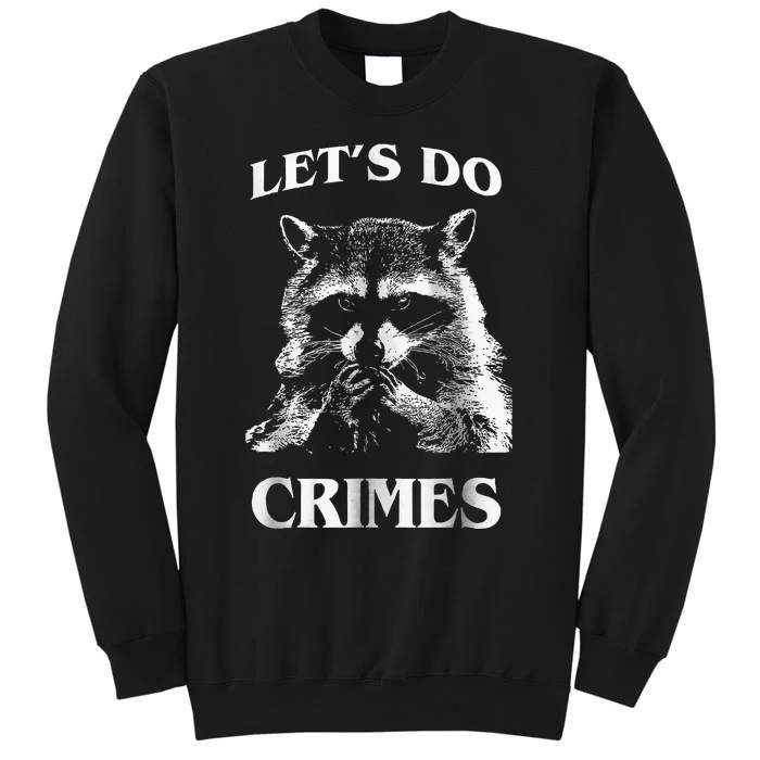 Raccoon Trash Funny Racoon LetS Do Crimes Cute Animal Sweatshirt