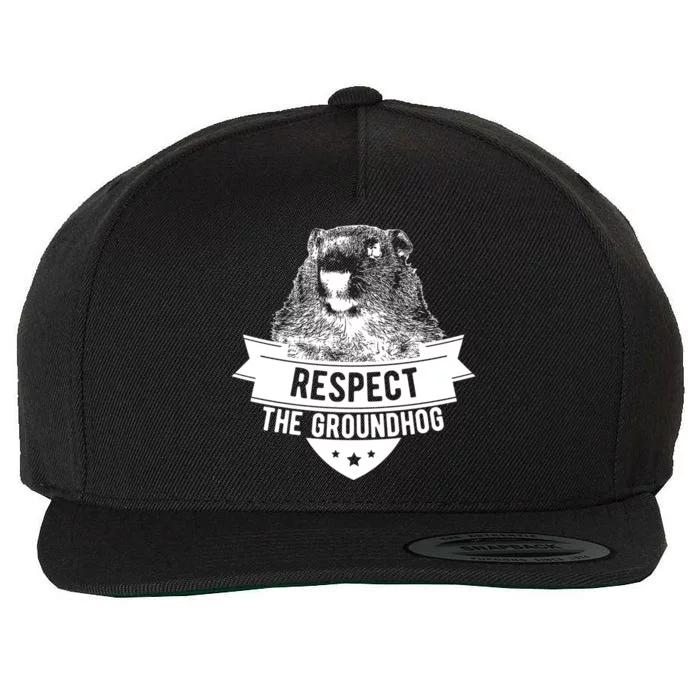 Respect The Groundhog Gift Wool Snapback Cap