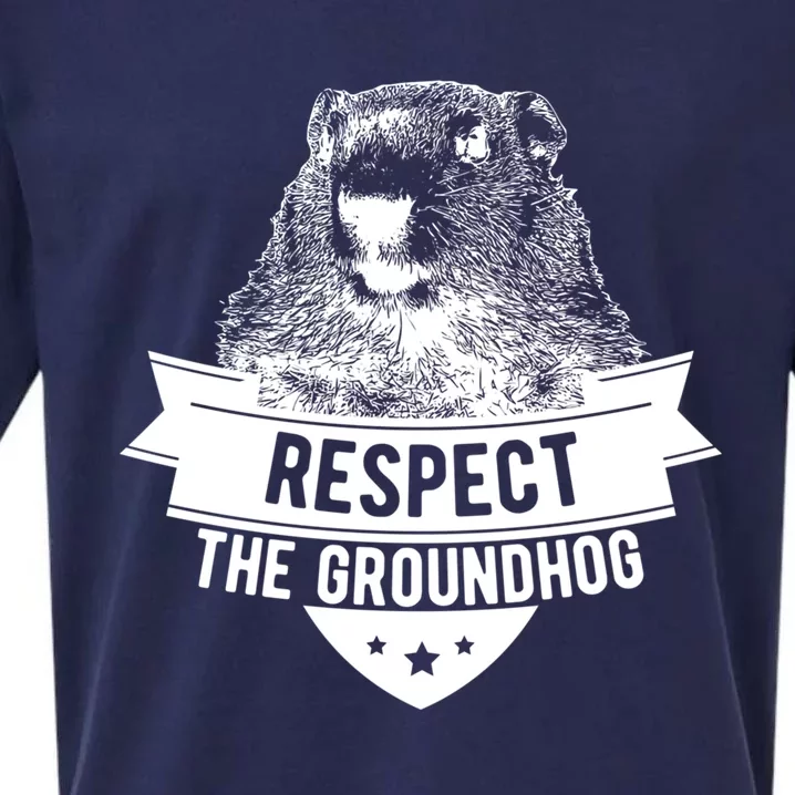 Respect The Groundhog Gift Sueded Cloud Jersey T-Shirt