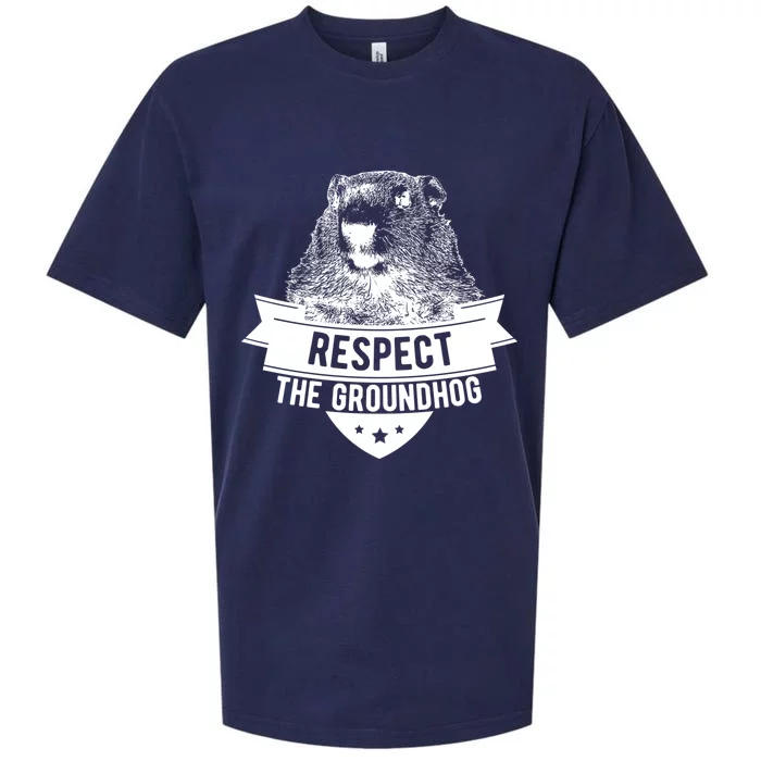 Respect The Groundhog Gift Sueded Cloud Jersey T-Shirt