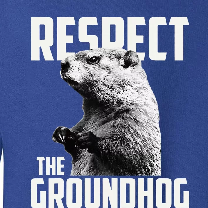 Respect The Groundhog Ground Hog Day Toddler Sweatshirt