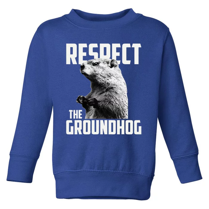 Respect The Groundhog Ground Hog Day Toddler Sweatshirt