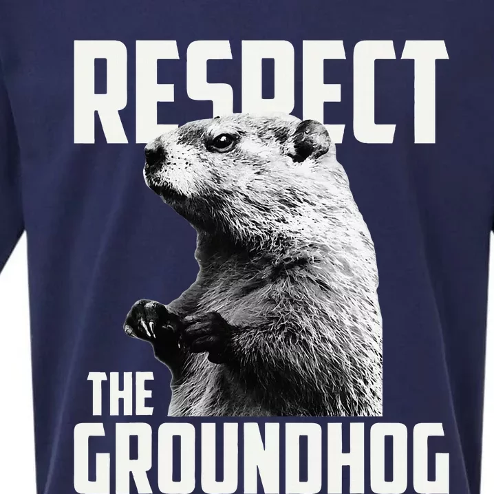 Respect The Groundhog Ground Hog Day Sueded Cloud Jersey T-Shirt