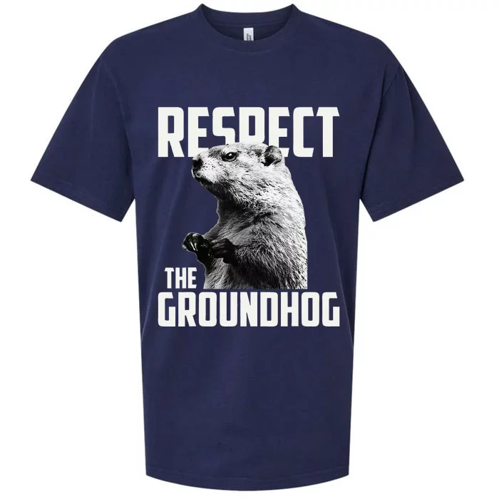 Respect The Groundhog Ground Hog Day Sueded Cloud Jersey T-Shirt