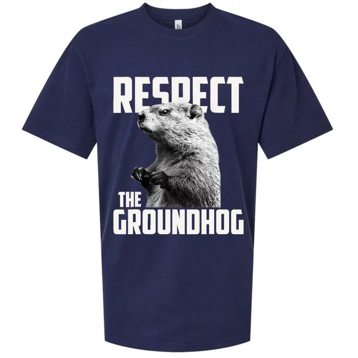 Respect The Groundhog Ground Hog Day Sueded Cloud Jersey T-Shirt