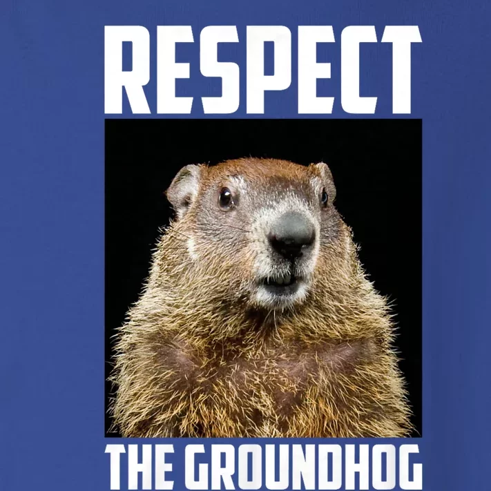 Respect The Groundhog Woodchuck Photo Ground Hog Day Toddler Long Sleeve Shirt