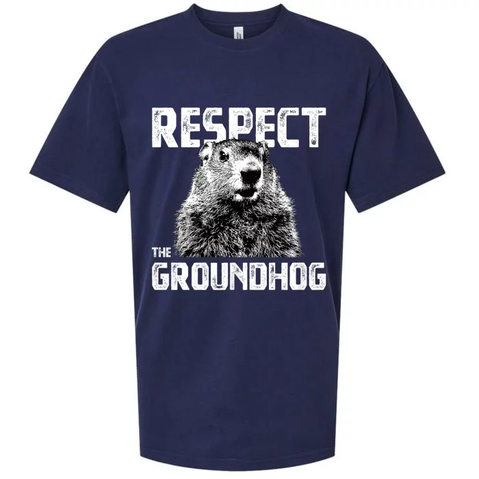 Respect The Groundhog Funny Woodchuck Sueded Cloud Jersey T-Shirt