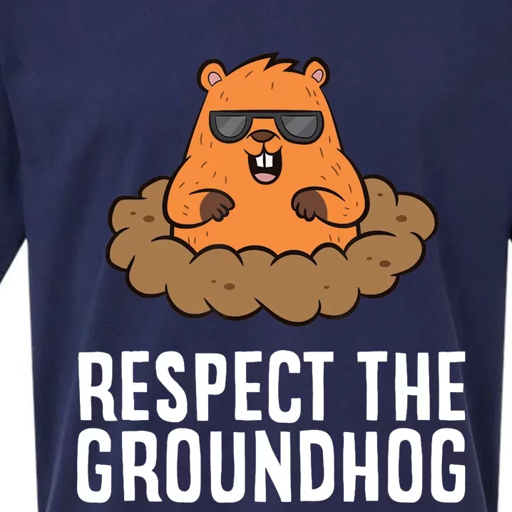 Respect The Groundhog Mammal Cute Groundhog Sueded Cloud Jersey T-Shirt