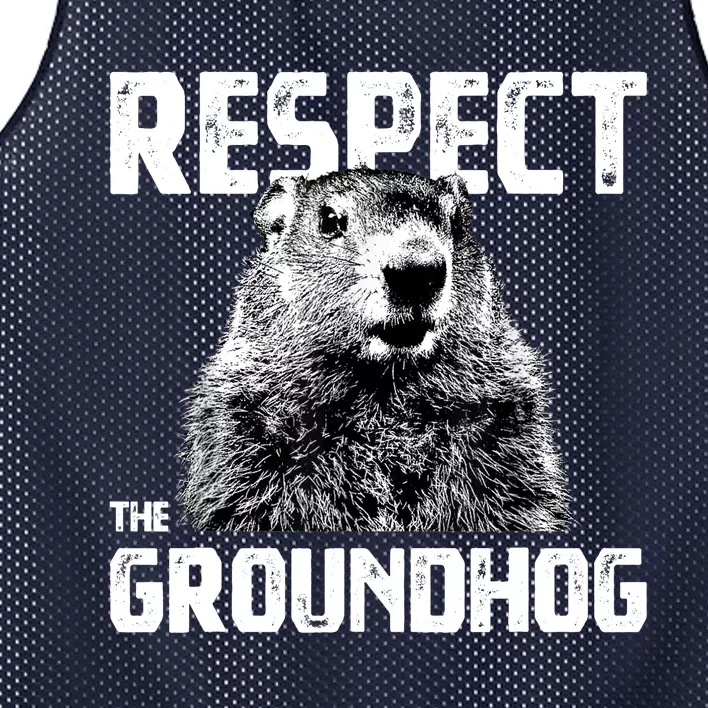 Respect The Groundhog Funny Woodchuck Mesh Reversible Basketball Jersey Tank